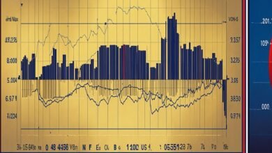 what are the two main functions of the foreign exchange market?