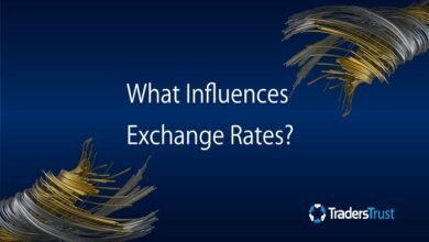 what are the three main factors that affect currency exchange rates among countries?