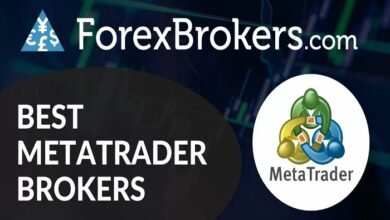 best forex broker for beginners