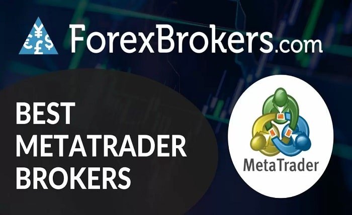 best forex broker for beginners