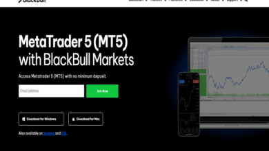 blackbull markets mt5 download