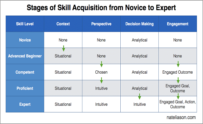 what comes after novice