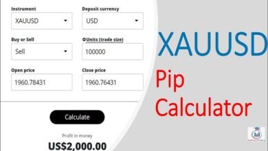 xauusd profit calculator